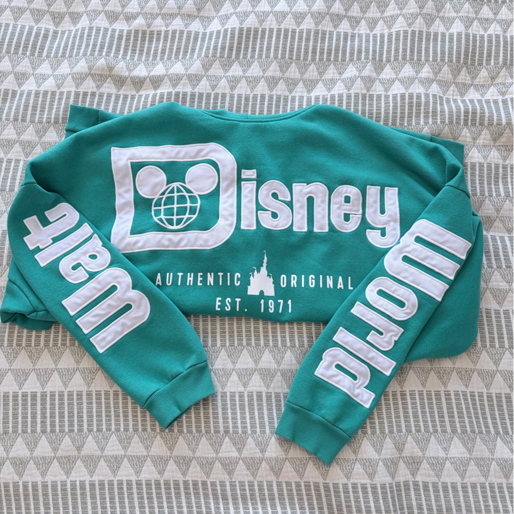 Official Disney Teal Hoodie 3XL